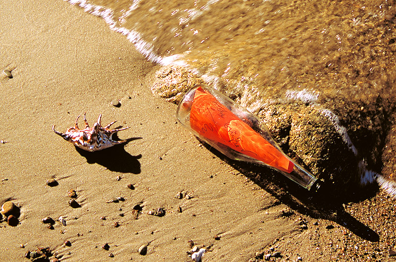 zur Übersicht Strandgut 