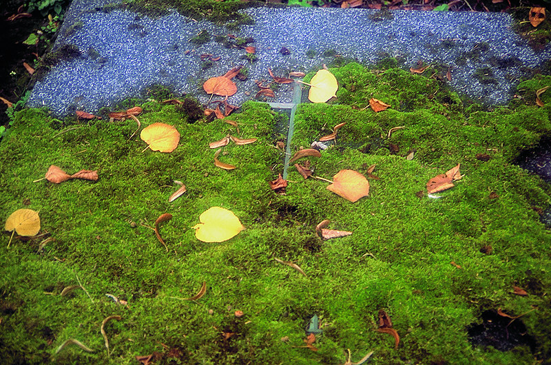 zur Übersicht Trauer II