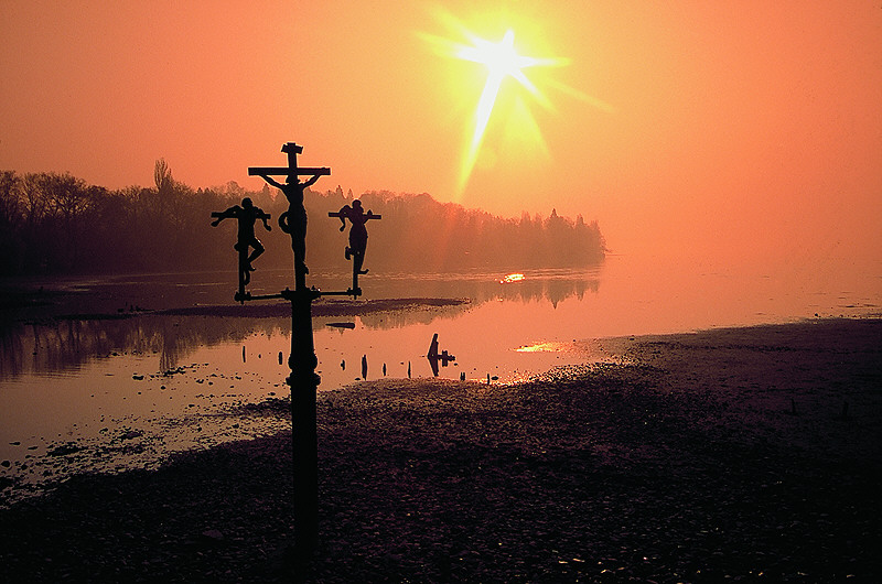 zur Übersicht Trauer II