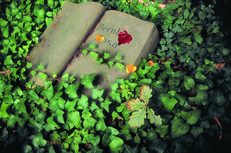 zur Übersicht Trauer II