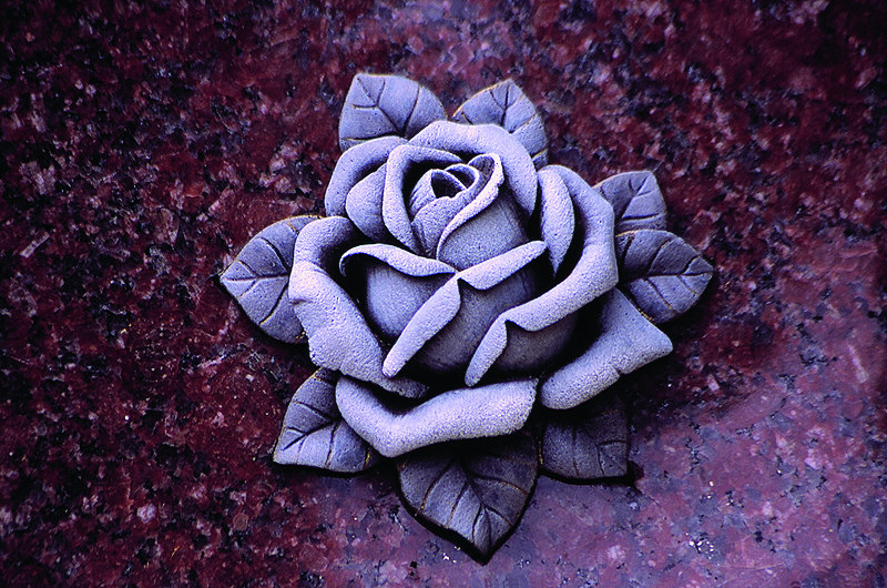 zur Übersicht Trauer II