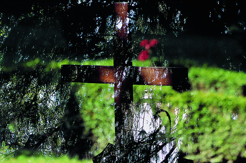 zur Übersicht Trauer II