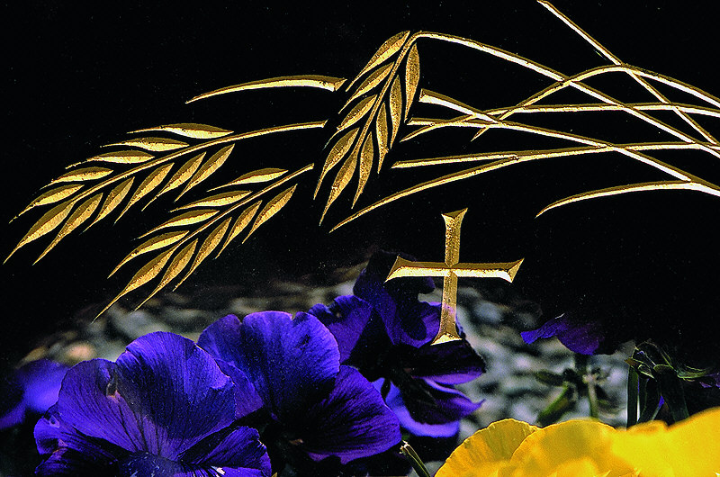 zur Übersicht Trauer 2