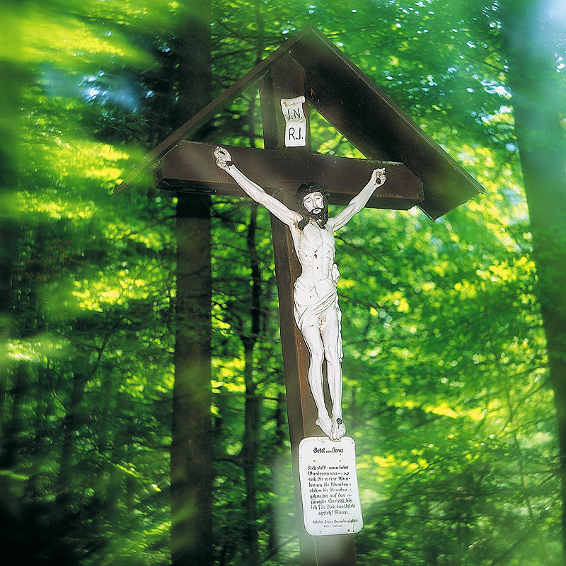 zur Übersicht Trauer 3