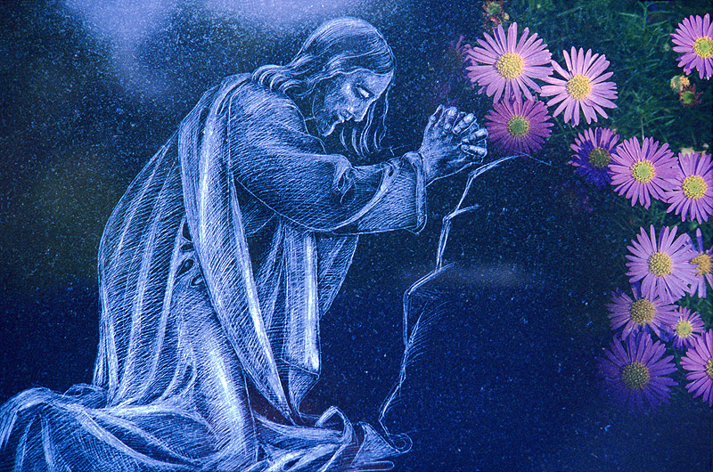 zur Übersicht Trauer 4