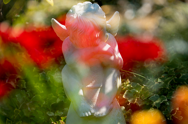 zur Übersicht Trauer 4