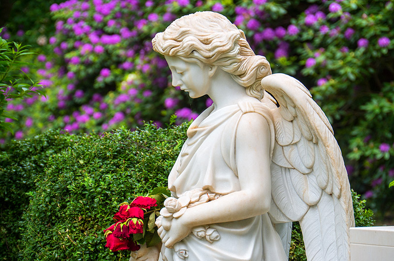 zur Übersicht Trauer 4