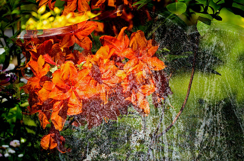 zur Übersicht Trauer 4