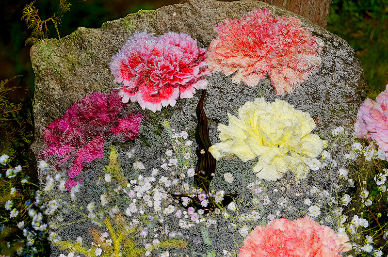 zur Übersicht Trauer 4