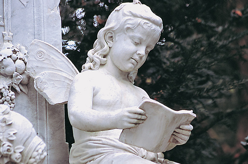 zur Übersicht Trauer 5