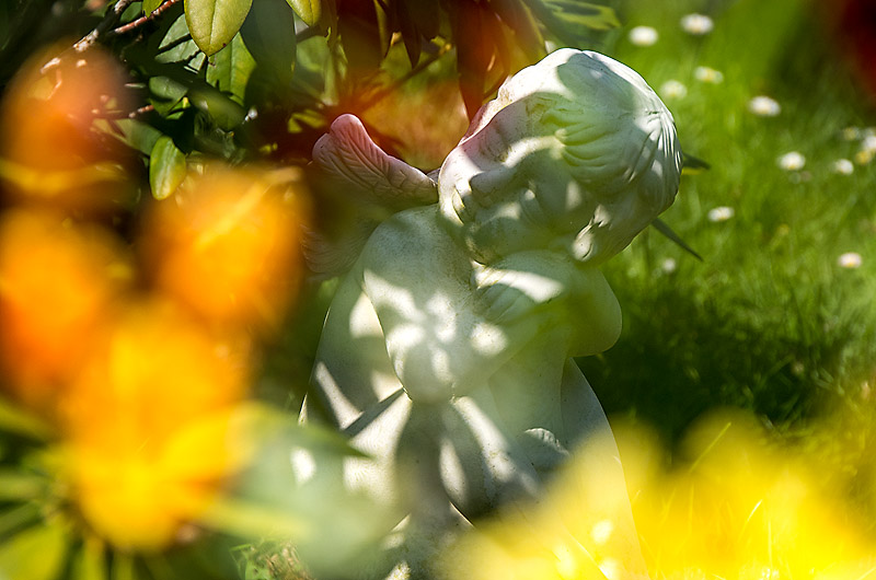 zur Übersicht Trauer 5