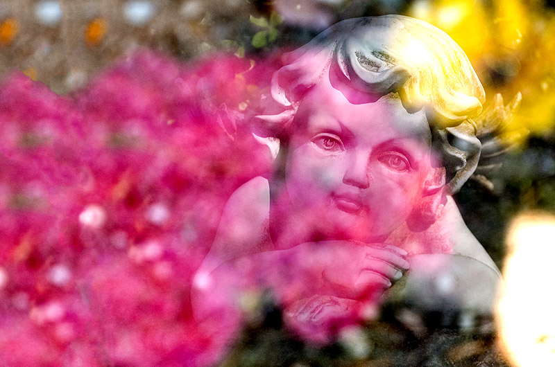 zur Übersicht Trauer 5