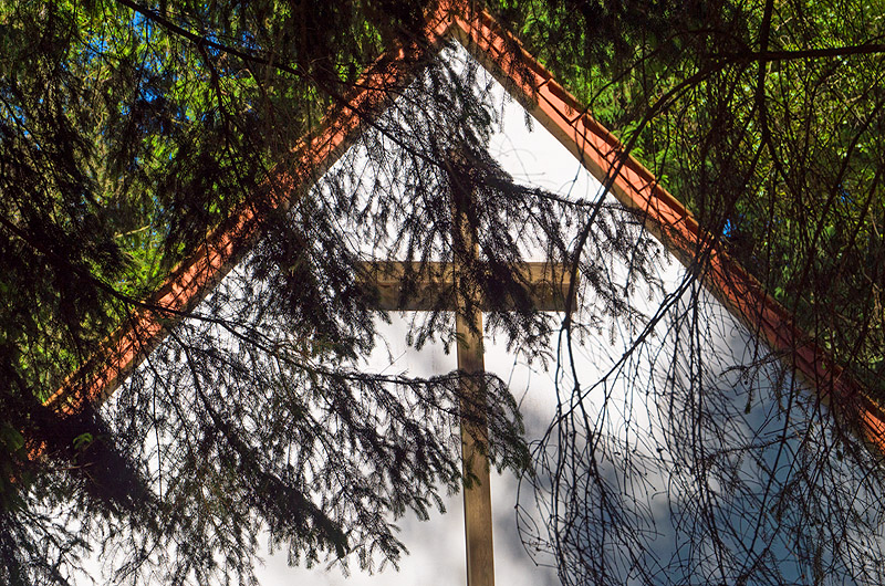 zur Übersicht Trauer 5