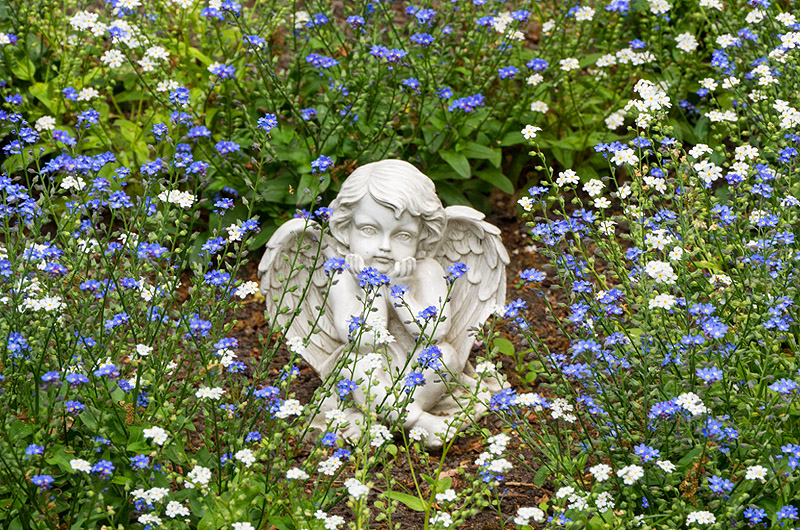 zur Übersicht Trauer 5