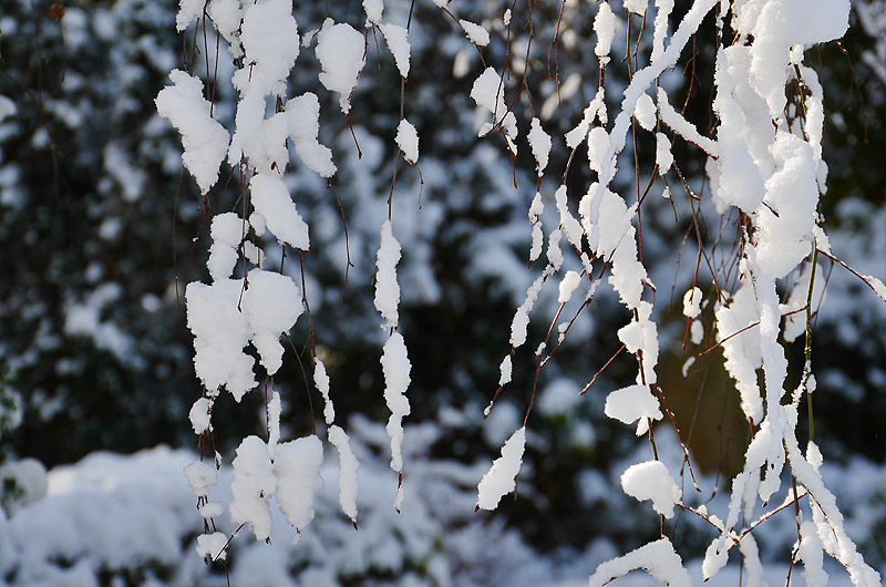 zur Übersicht Trauer 5