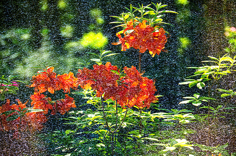 zur Übersicht Trauer 6