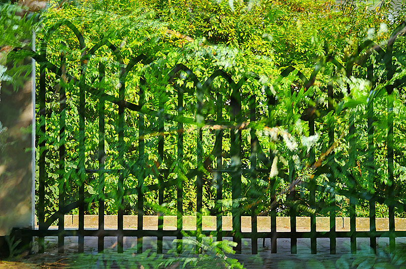 zur Übersicht Trauer 6