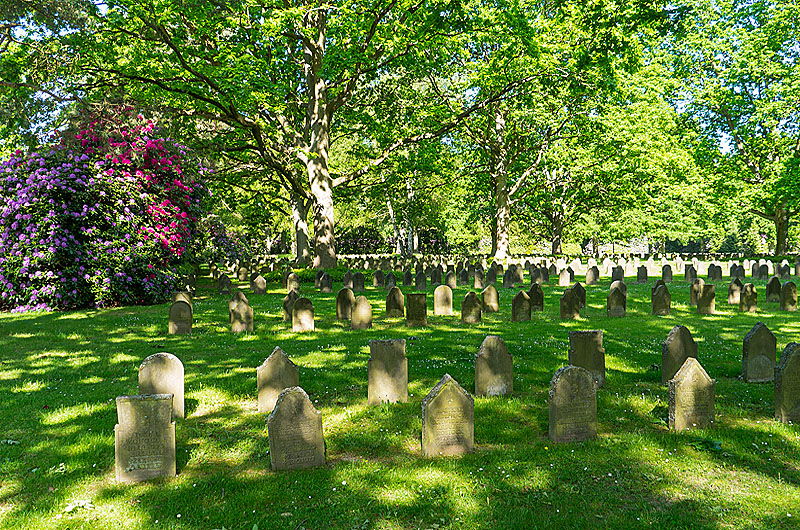 zur Übersicht Trauer 6