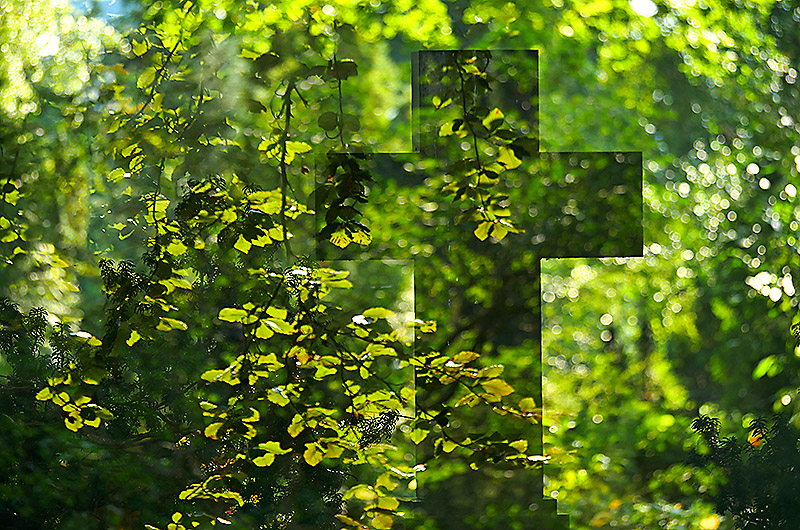 zur Übersicht Trauer 7