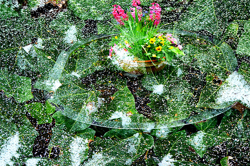 zur Übersicht Trauer 7