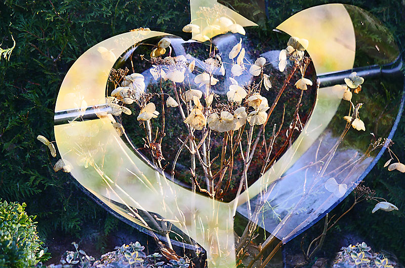 zur Übersicht Trauer 7