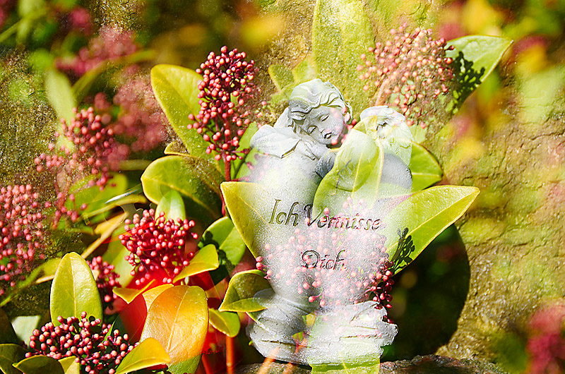 zur Übersicht Trauer 7