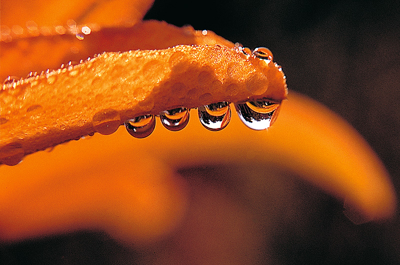 zur Übersicht Wassertropfen 2