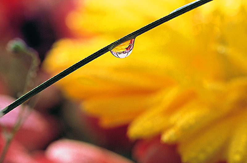 zur Übersicht Wassertropfen 2