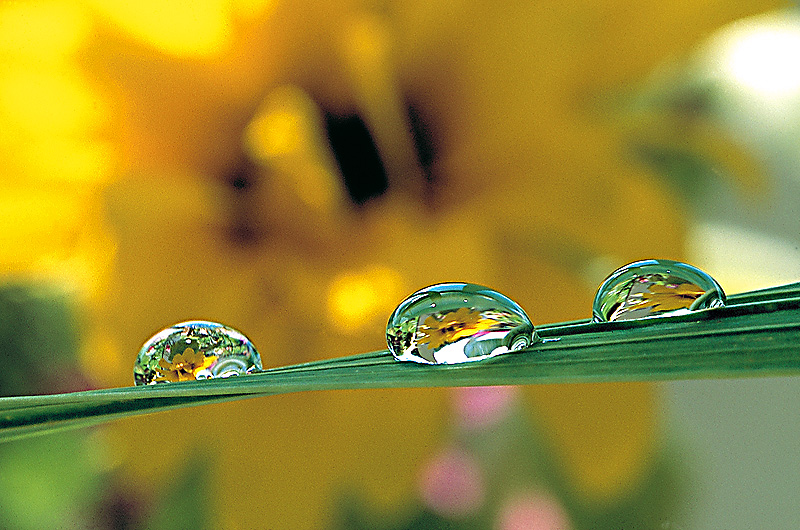 zur Übersicht Wassertropfen 2