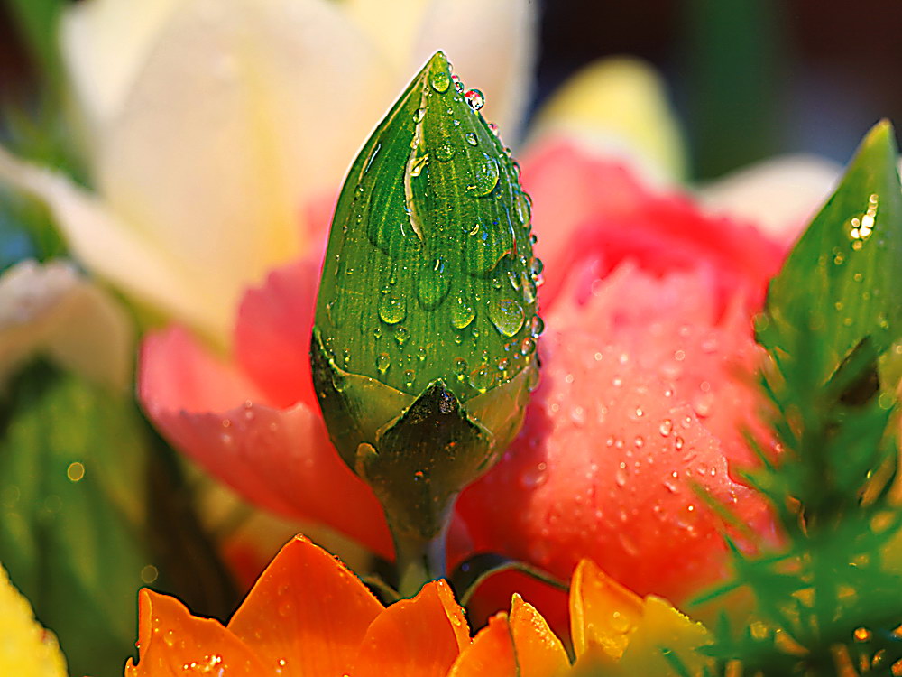 zur Übersicht Wassertropfen 3