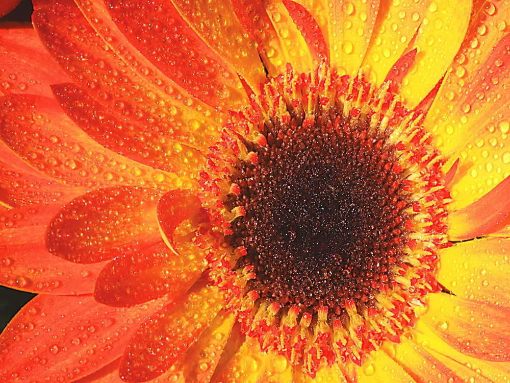 zur Übersicht Wassertropfen 3