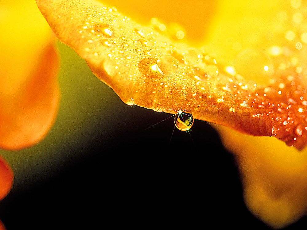zur Übersicht Wassertropfen 3