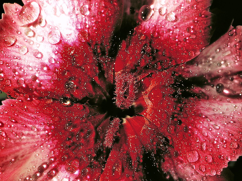 zur Übersicht Wassertropfen 4