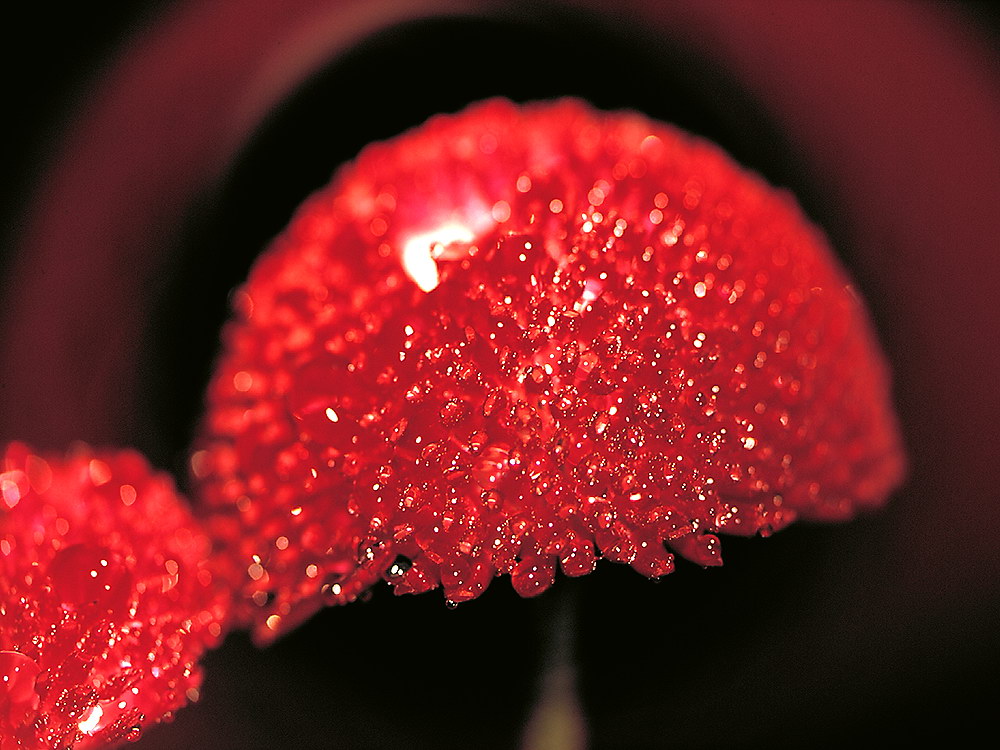 zur Übersicht Wassertropfen 6