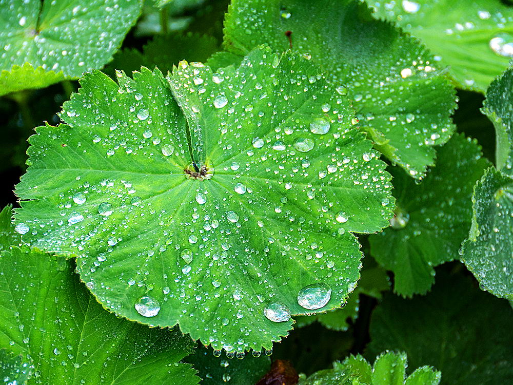 zur Übersicht Wassertropfen 7