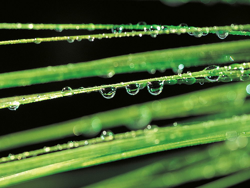 zur Übersicht Wassertropfen 7