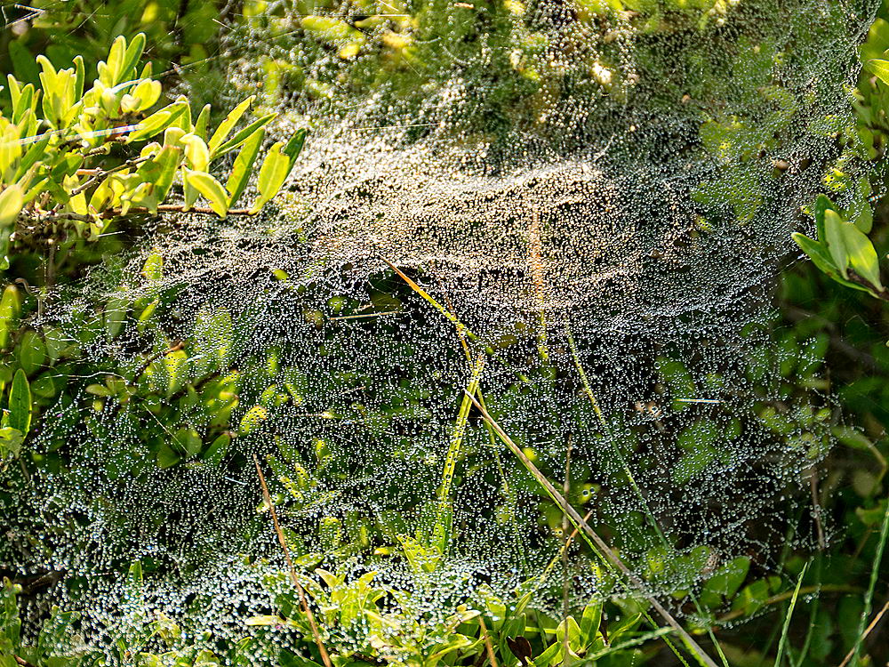 zur Übersicht Wassertropfen 7