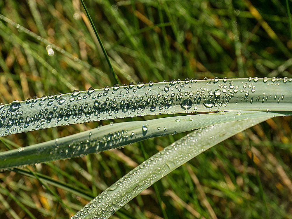 zur Übersicht Wassertropfen 7