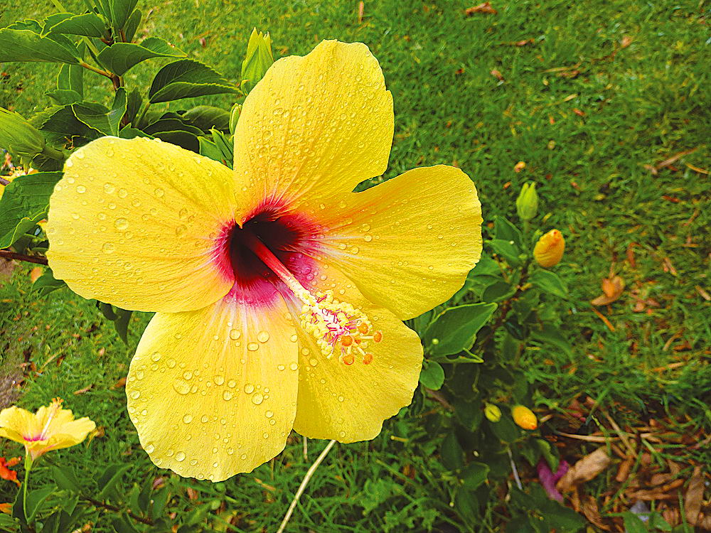 zur Übersicht Wassertropfen 8