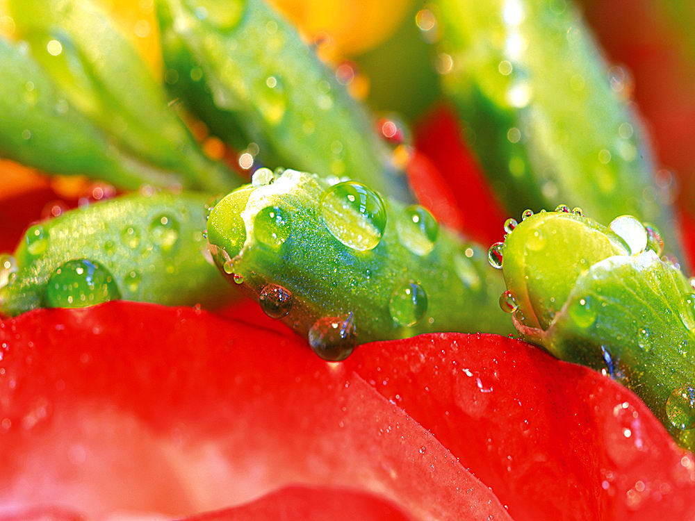 zur Übersicht Wassertropfen 8