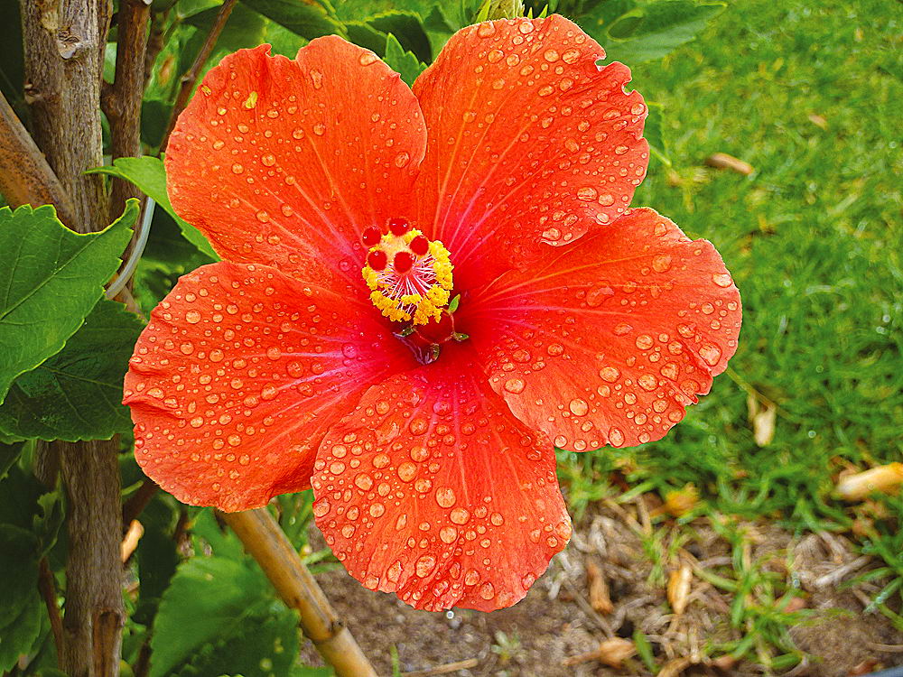 zur Übersicht Wassertropfen 8