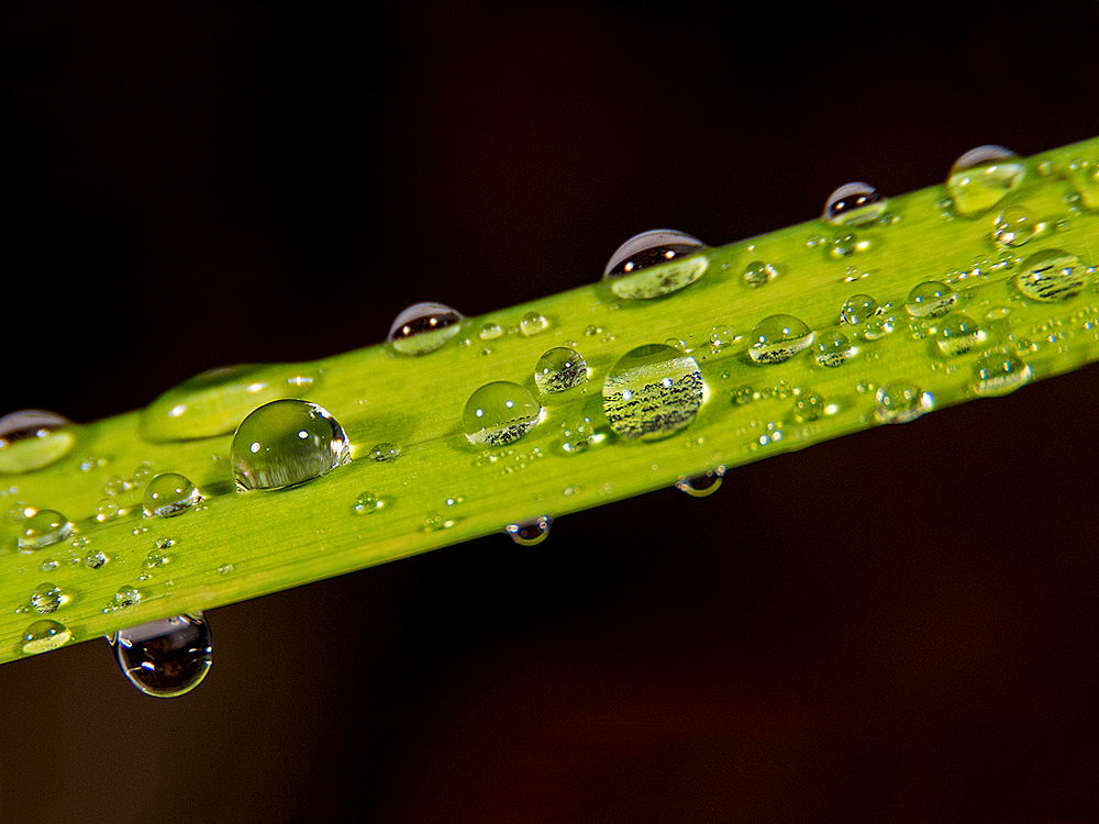 zur Übersicht Wassertropfen 8