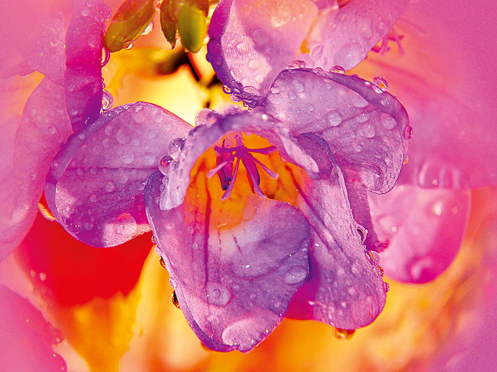 zur Übersicht Wassertropfen 8