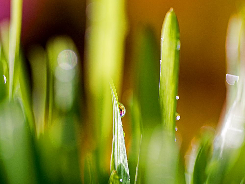 zur Übersicht Wassertropfen 8
