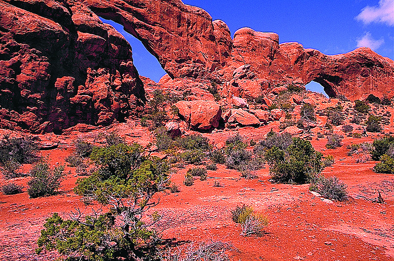 zur Übersicht USA Nationalparks I