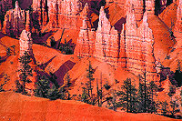 Bryce Canyon N.P.