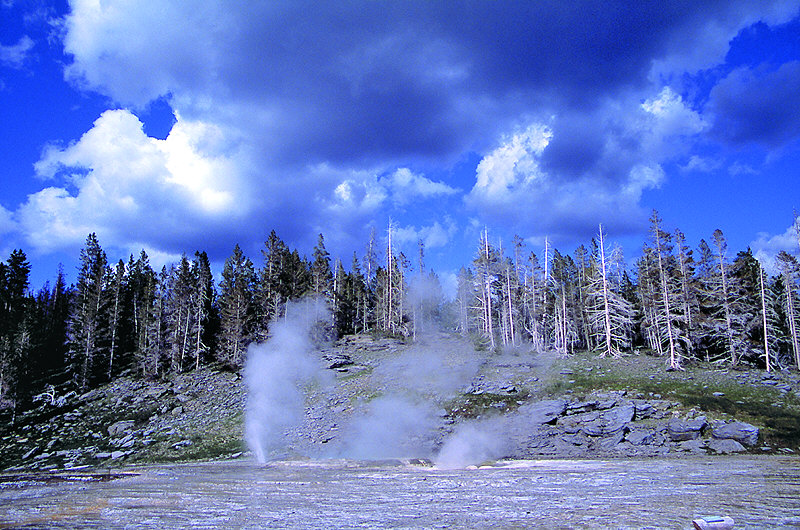 zur Übersicht Yellowstone N. P.