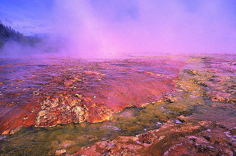 zur Übersicht Yellowstone N. P.