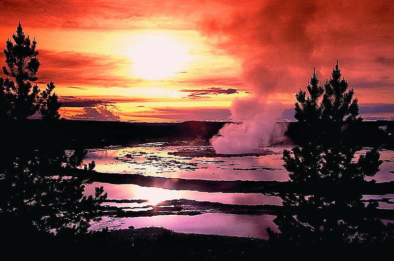 zur Übersicht Yellowstone N. P.