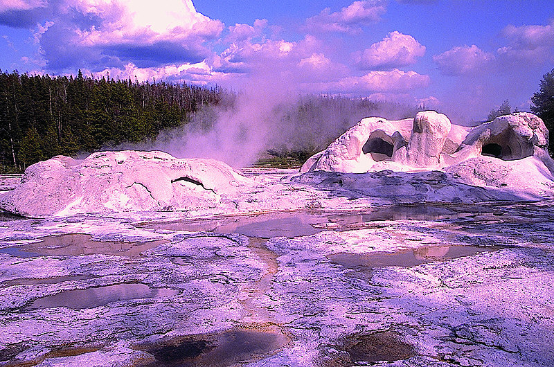 zur Übersicht Yellowstone N. P.